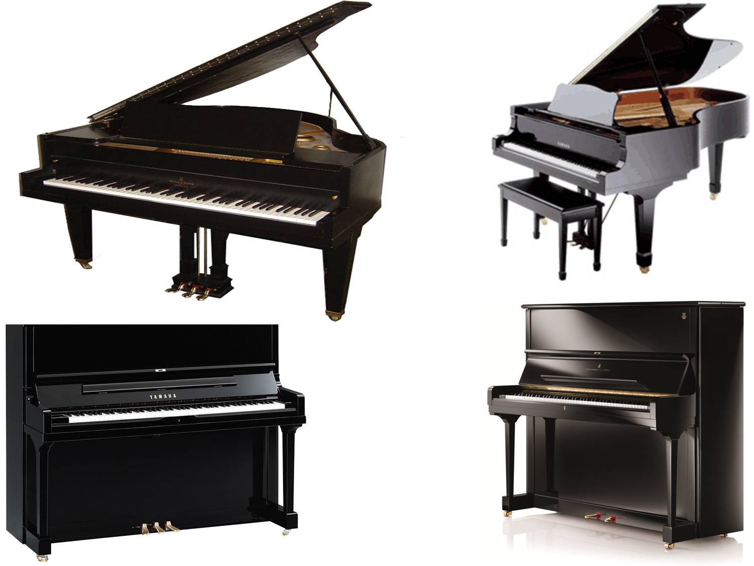piano on rent lakshadweep